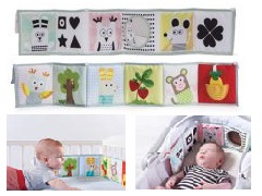 3 In 1 Baby Book